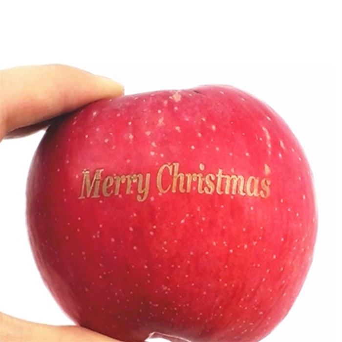 水果激光打标机 水果激光打标机