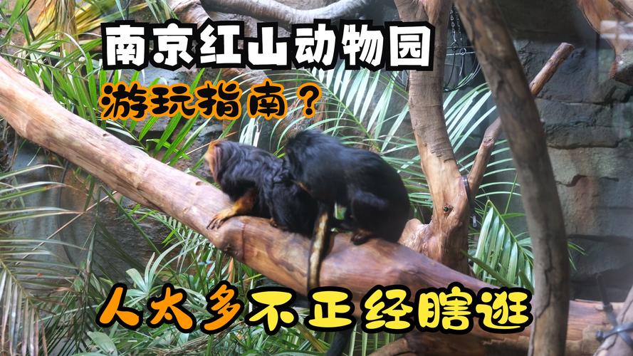 全国新闻 第25页