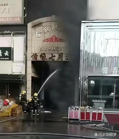 郑州闹市天屎之路;郑州闹市天屎之路事件