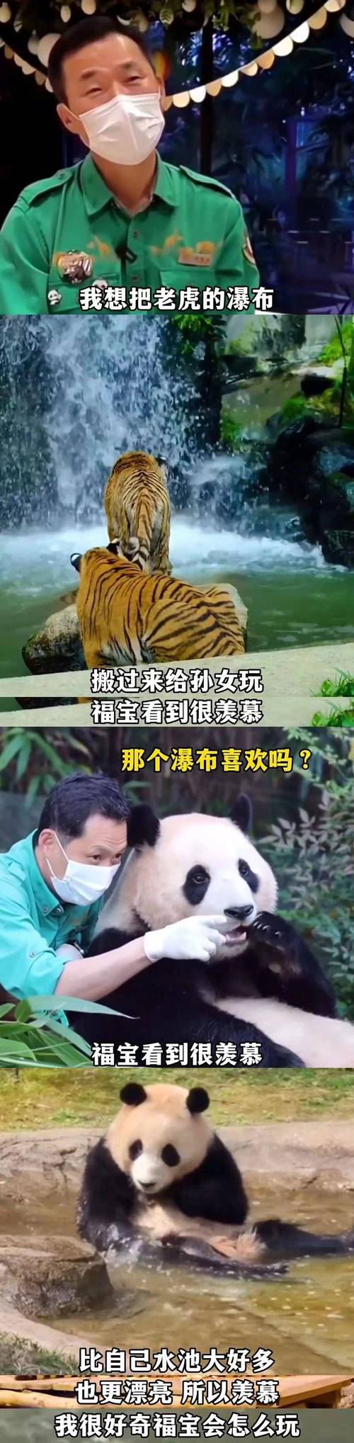 新澳2025今晚开奖结果和4旅日大熊猫将回国与旅日20年熊猫将回国 视频