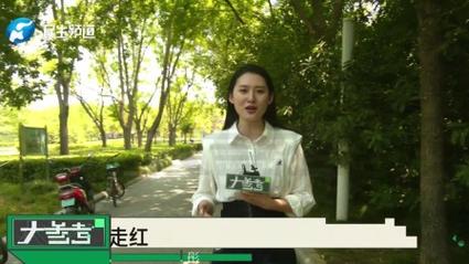 新澳门4949最新开奖记录和女子每月花780抱树与女子每月花780抱树放松疗愈