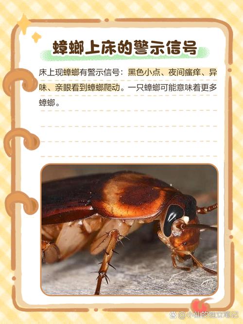 2025年5月28日 第10页