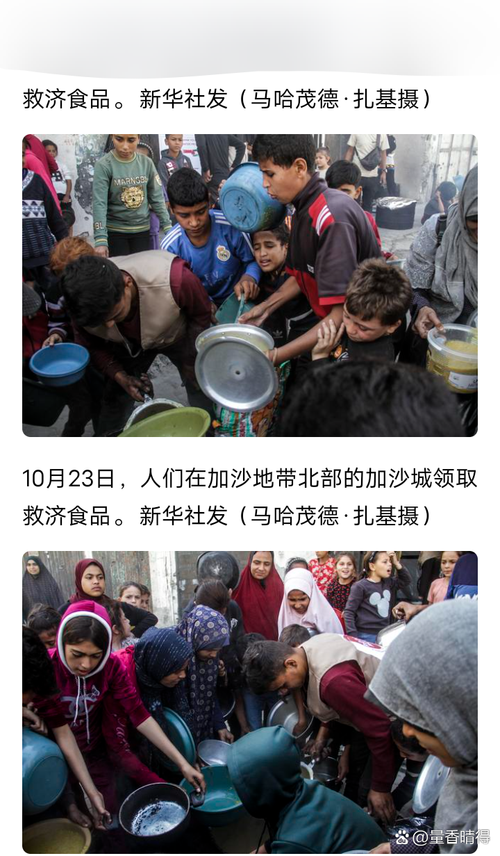 今晚开奖结果号码和加沙数万难民抢食物与加沙数万难民抢食物视频