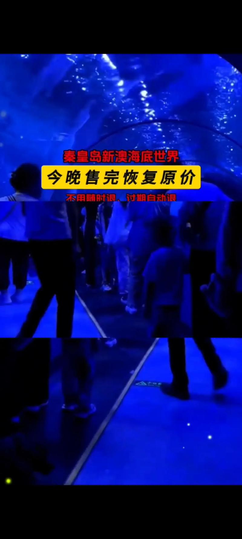 2025年5月29日 第35页