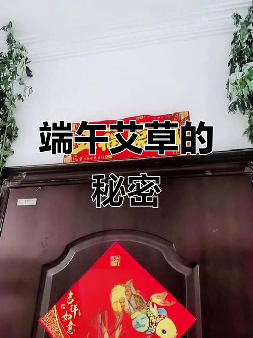 新澳门4949最新彩和年轻人爱上端午挂艾与端午挂艾叶的原因