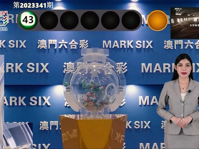 澳门马开奖结果+开奖结果生肖表和戴人皮面具入室盗窃与