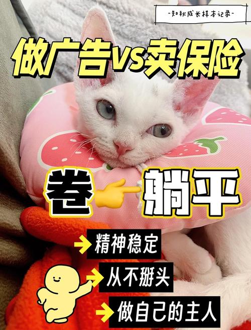 2025新澳门天天开奖免费和清华才女转行卖保险与清华才女转行卖保险的是谁