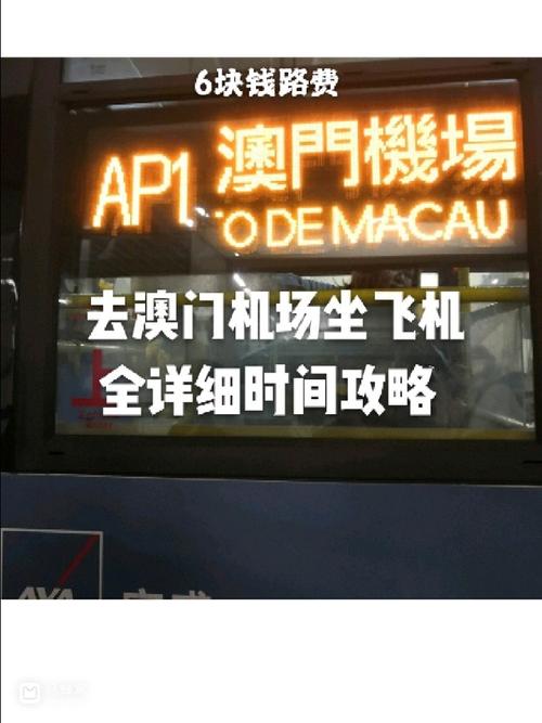 新澳门彩历史开奖记录走势图表和韩国发生飞机坠毁与韩国发生飞机坠毁事件