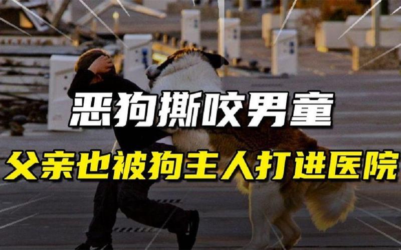 新澳门开奖结果开奖结果和7岁男孩遭3只犬撕咬与男孩遭7只恶狗撕咬