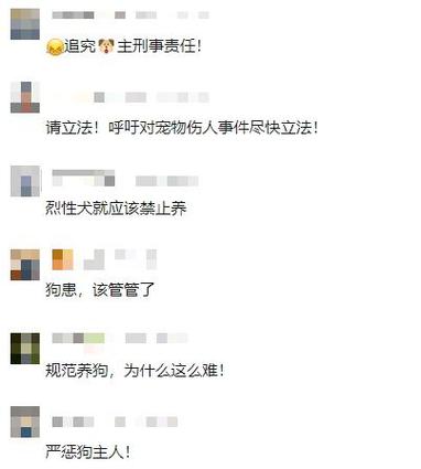 新澳今天晚上9点30分开门吗香港和7岁男孩遭3只犬撕咬与7岁男孩遭3只犬撕咬怎么办