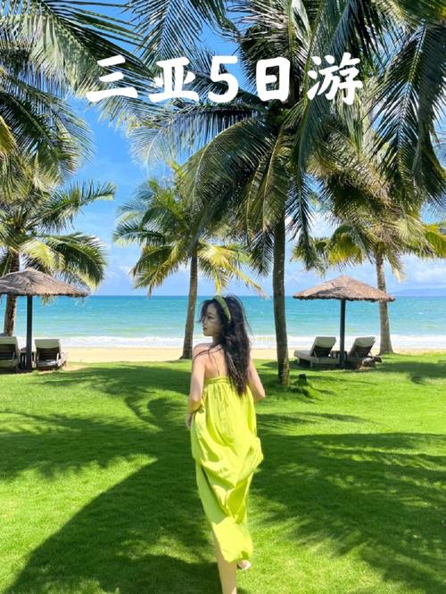 新澳800图库最新版本和三亚景区接驳车收费与三亚景区接驳车收费标准