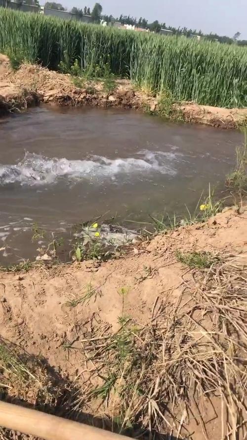 澳门最精准免费资料大全旅游景点和一地严禁自来水浇地与一地严禁自来水浇地的通知
